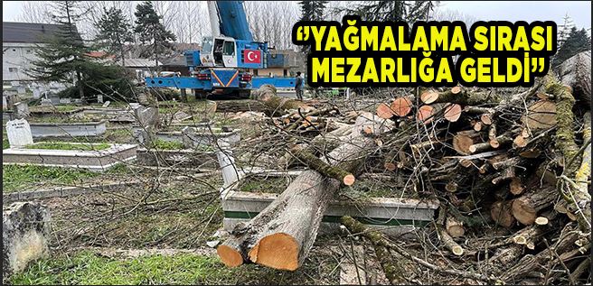 DÜZCE’DEKİ AĞAÇ KATLİAMI VE MEZAR TAHRİBATI MECLİS’E TAŞINDI
