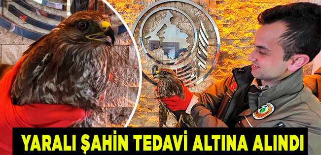 AKÇAKOCA’DA ORMANCI YARALI ŞAHİNİ ÖLÜME TERK ETMEDİ…
