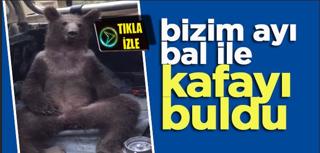 KOVANLARA DADANAN AYIYI BAL TUTTU…