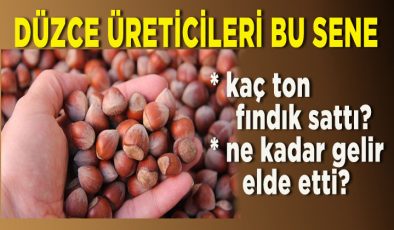 Düzce üreticilerinin fındıktan elde ettiği gelir belli oldu