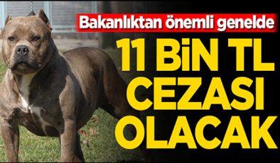 Bakanlıktan ‘tehlike arz eden köpek ırkları’ genelgesi!