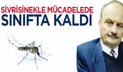 Sivrisinekten mustarip vatandaş isyanda: Ne oldu mazot mu alamıyorsunuz?