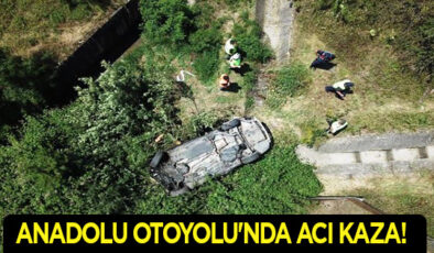 OTOMOBİL DEVRİLDİ: SÜRÜCÜSÜ ÖLDÜ