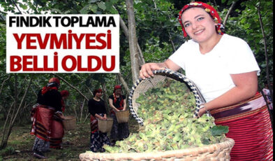 FINDIK TOPLAMA YEVMİYESİ BELLİ OLDU