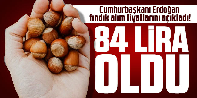 Cumhurbaşkanı Erdoğan fındık alım fiyatlarını açıkladı: 84 TL