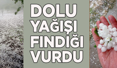 AKÇAKOCA’DA DOLU YAĞIŞI ETKİLİ OLDU