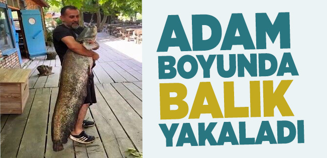 52 kilogramlık balık ağa takıldı…