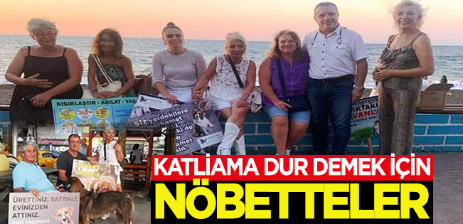 AKÇAKOCA, SOKAK CANLARININ HAYATI İÇİN NÖBET EYLEMİNDE…