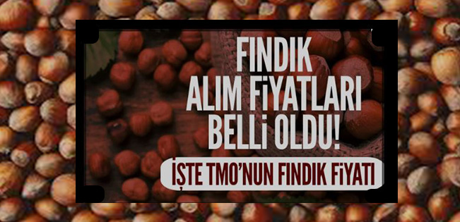 TMO, FINDIK TABAN FİYATLARINI AÇIKLADI…