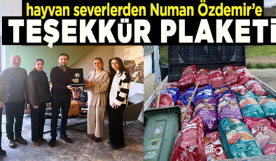 NUMAN ÖZDEMİR’DEN SOKAK CANLARI İÇİN BİR KAMYON DOLUSU MAMA JESTİ