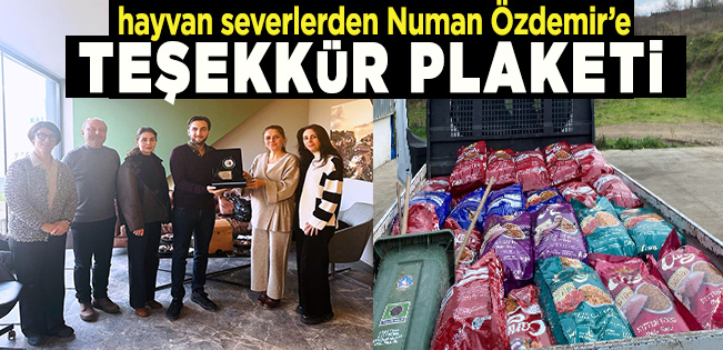 NUMAN ÖZDEMİR’DEN SOKAK CANLARI İÇİN BİR KAMYON DOLUSU MAMA JESTİ