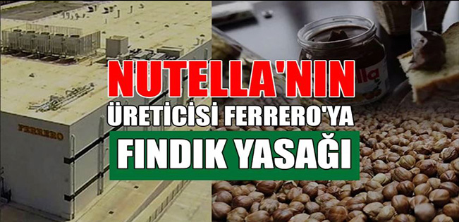 FERRERO’NUN TÜRKİYE’DE FINDIK ALIMI VE İHRACAT YAPMASI YASAKLANDI