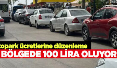 BELEDİYE MECLİSİ’NDEN PARK ÜCRETİ DÜZENLEMESİ: 3 BÖLGEDE 100 LİRAYA ÇIKACAK