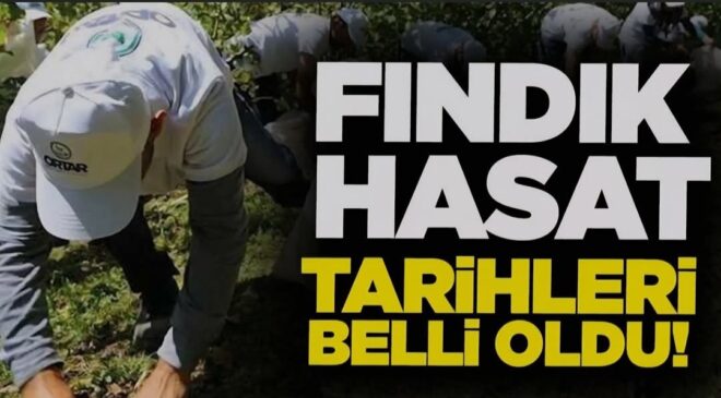 AKÇAKOCA’DA FINDIK HASAT TARİHLERİ BELLİ OLDU