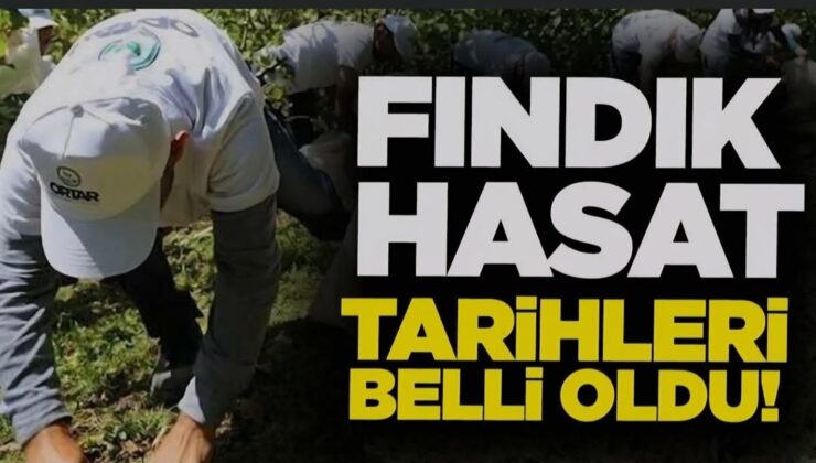AKÇAKOCA’DA FINDIK HASAT TARİHLERİ BELLİ OLDU