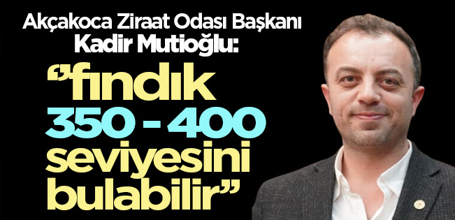 FINDIKTA KRİTİK RAKAM: 1 KG FINDIĞIN MALİYETİ 185 TL!