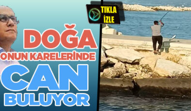 İBRAHİM BİLGİN’İN OBJEKTİFİNDEN AKÇAKOCA’DA BALIK AVI ANLARI