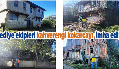 AKÇAKOCA BELEDİYESİNDEN KAHVERENGİ KOKARCAYA KARŞI MÜCADELE