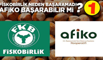 FİSKOBİRLİK NEDEN BAŞARAMADI, AFİKO BAŞARABİLİR Mİ?-1-