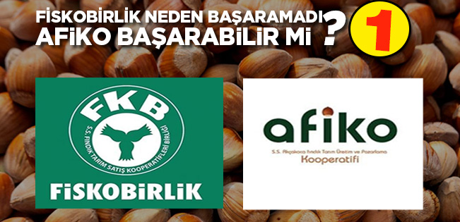 FİSKOBİRLİK NEDEN BAŞARAMADI, AFİKO BAŞARABİLİR Mİ?-1-