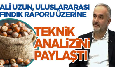 FINDIKTA PİYASA SİNYAL VERİYOR: FİYATLARDA YUMUŞAMA, BEKLENTİLERDE TEMKİNLİ İYİMSERLİK