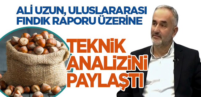 FINDIKTA PİYASA SİNYAL VERİYOR: FİYATLARDA YUMUŞAMA, BEKLENTİLERDE TEMKİNLİ İYİMSERLİK