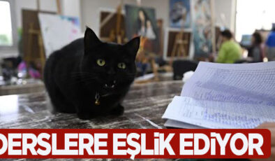 SEVİMLİ KEDİ “ŞÜKUFE” KURSİYERLERİN NEŞE KAYNAĞI OLDU