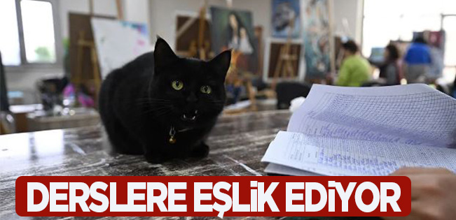 SEVİMLİ KEDİ “ŞÜKUFE” KURSİYERLERİN NEŞE KAYNAĞI OLDU