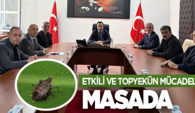 Fındıkta Kokarcaya Karşı Güç Birliği: Üretici İçin Umut Veren Toplantı