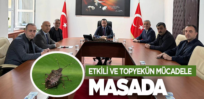 Fındıkta Kokarcaya Karşı Güç Birliği: Üretici İçin Umut Veren Toplantı