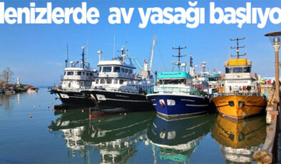 DENİZLERDE AV YASAĞI BAŞLIYOR!