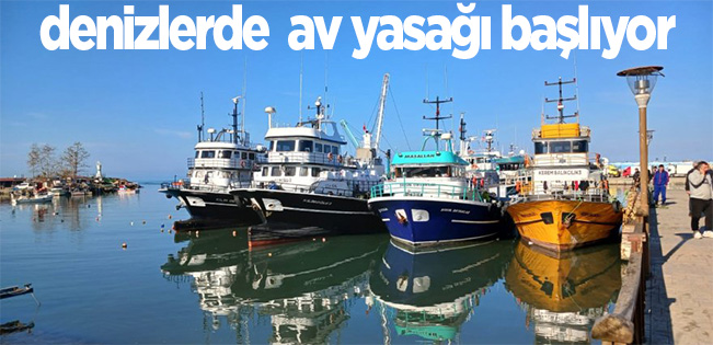 DENİZLERDE AV YASAĞI BAŞLIYOR!