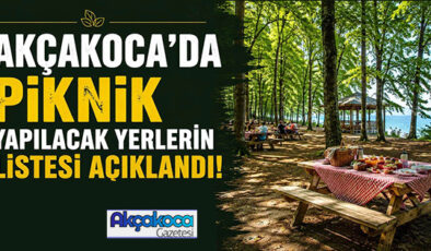 DÜZCE VE AKÇAKOCA’DA PİKNİK YAPILABİLECEK YERLERİN LİSTESİ AÇIKLANDI!