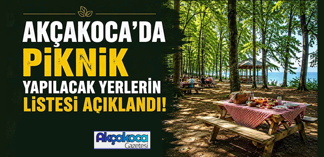 DÜZCE VE AKÇAKOCA’DA PİKNİK YAPILABİLECEK YERLERİN LİSTESİ AÇIKLANDI!