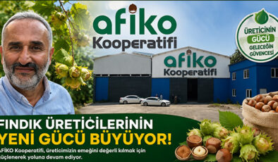 FINDIK ÜRETİCİLERİNİN YENİ GÜCÜ AFİKO HER GEÇEN GÜN BÜYÜYOR