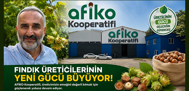 FINDIK ÜRETİCİLERİNİN YENİ GÜCÜ AFİKO HER GEÇEN GÜN BÜYÜYOR