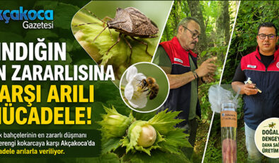 AKÇAKOCA’DA FINDIK BAHÇELERİNİN GİZLİ DÜŞMANINA KARŞI ARILI MÜCADELE