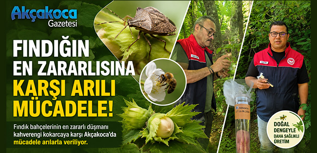 AKÇAKOCA’DA FINDIK BAHÇELERİNİN GİZLİ DÜŞMANINA KARŞI ARILI MÜCADELE
