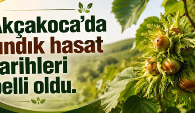 AKÇAKOCA’DA FINDIK HASAT TARİHLERİ BELLİ OLDU