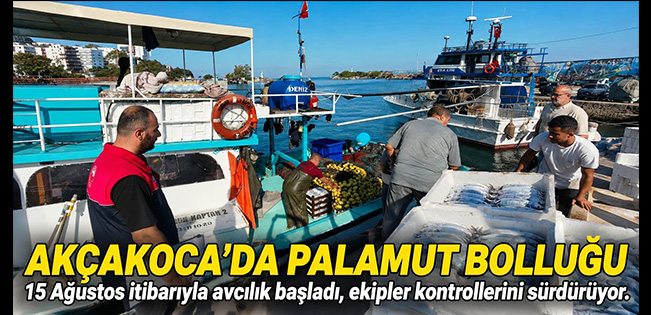 AKÇAKOCA’DA BALIKÇILAR SEZONA HIZLI BAŞLADI