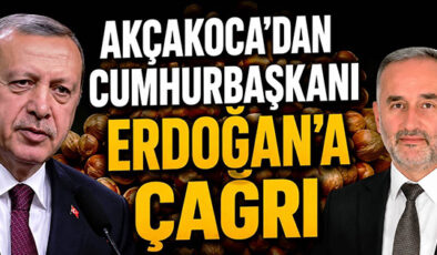 AFİKO BAŞKANI UZUN: FINDIK FİYATI 280 TL OLARAK REVİZE EDİLMELİ