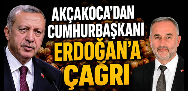 AFİKO BAŞKANI UZUN: FINDIK FİYATI 280 TL OLARAK REVİZE EDİLMELİ